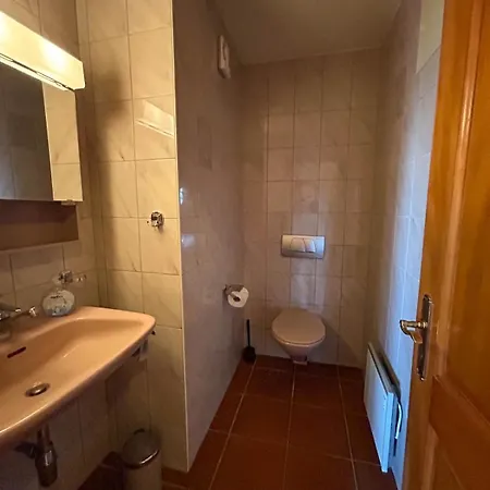 公寓 Duplex Confortable Avec Place De Parc Gollion
